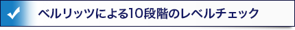 ベルリッツによる10段階のレベルチェック