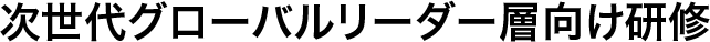 次世代グローバルリーダー層向け研修