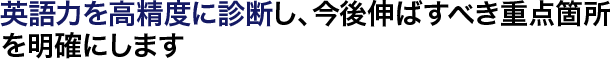 英語力を高精度に診断し、今後伸ばすべき重点箇所を明確にします