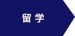 留学
